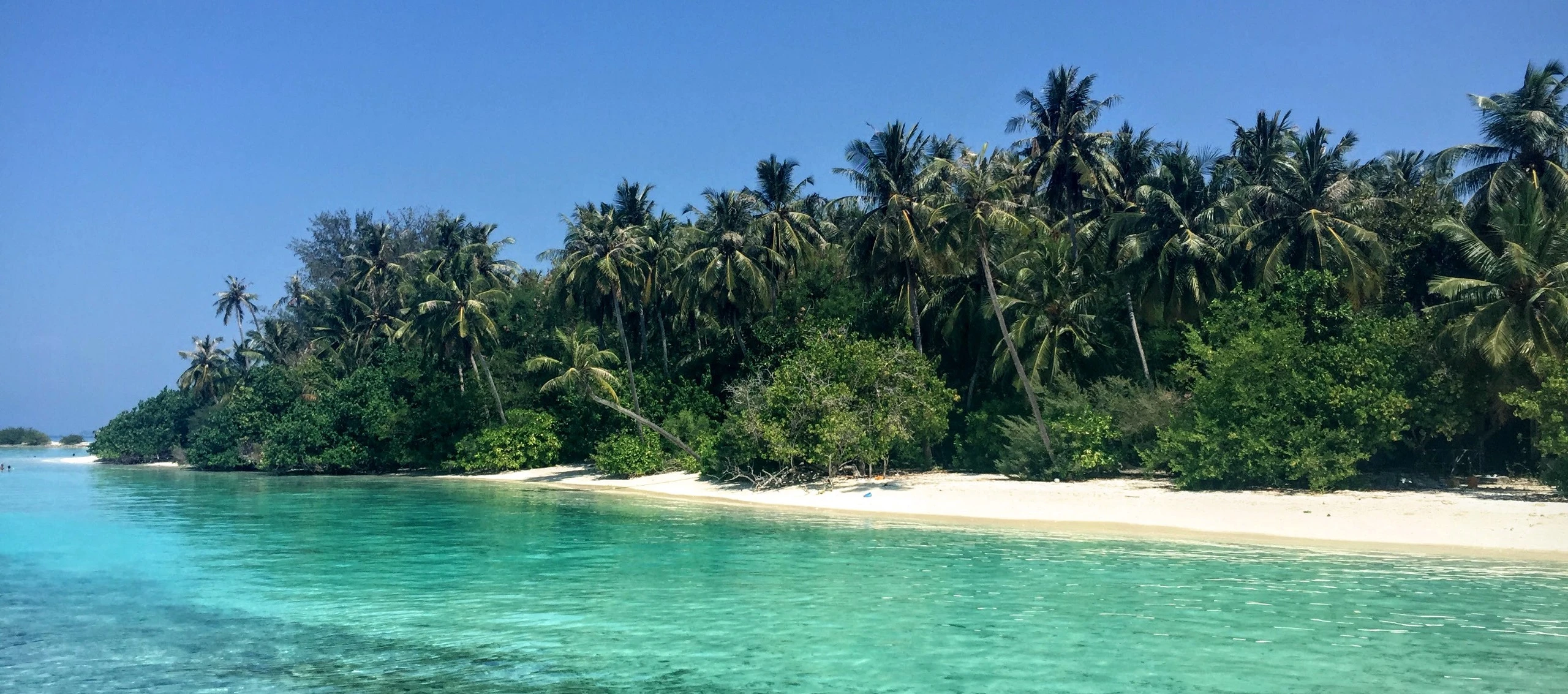 Cover Image for The Abandoned Resort of the Maldives